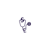 OptimizeandRankWeb
