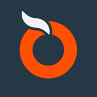 Orangesites | Professional Web Design
