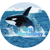 Orca Marketology
