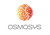 Osmosys Software Solutions Private Limited