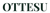 OTTESU