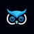 Owl Security