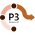P 3 Solutions LLC