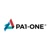 P1 IT-CyberSec Services LTD