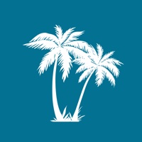 Palm Island Creative