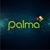 Palma Financial Services