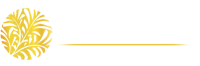 Palmetto Web Design