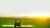 Panasuk CPA Services