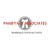 Pandya Associate