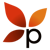 Paramaya Web Consulting, LLC