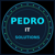 PEDRO IT SOLUTIONS, LLC