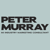 Peter Murray MI Marketing Consultant