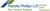 Petrella Phillips LLP