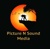 PICTURE N SOUND MEDIA