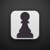 PICTURE PAWN LLC