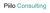 Piilo Consulting