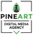 Pine Art Digital Media Agency