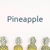 Pineapple Sustainable Partnerships