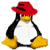 Pinguis Web