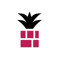 Pink Pineapple