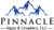 Pinnacle Accounting & Business Services