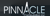 Pinnacle Computation, Inc.