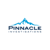Pinnacle Investigations