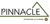 Pinnacle Professional Accounting