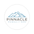 Pinnacle Pursuit SEO