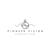 Pioneer Vision Consulting