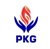PKG Consultancy