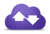 Platform Purple, Inc.