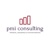 PMI Consulting LLC