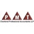PMT Chartered Professional Accountants LLP
