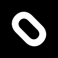 pongo creative team