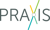 PRAXIS Strategic Consulting, LLC