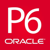 Primavera P6 & MS Project Training