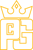 Prince Cyber Tech and Graphics