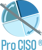 Pro CISO Cybersecurity