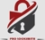 Pro Locksmith