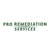 Pro Remediation Services