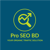 Pro SEO BD