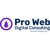 Pro Web Consulting