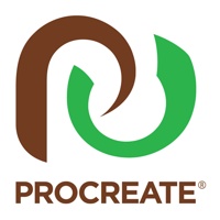 Procreate Branding + Design