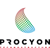 Procyon Technostructure