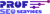 Prof SEO Services