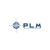 Professional Leadership and Management Services