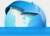Professional Tax & Accounting Service