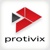 Protivix Business Solutions, LLC