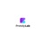 Protolylab